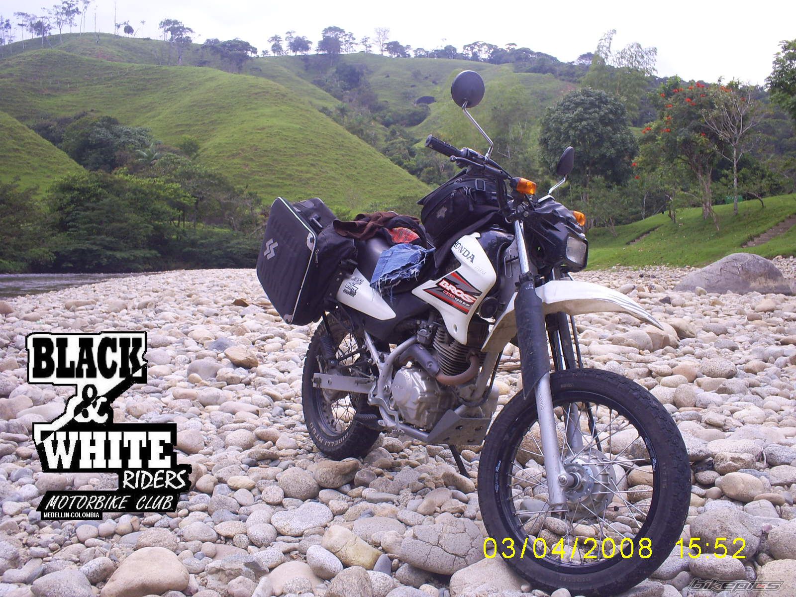 Photo 1269153