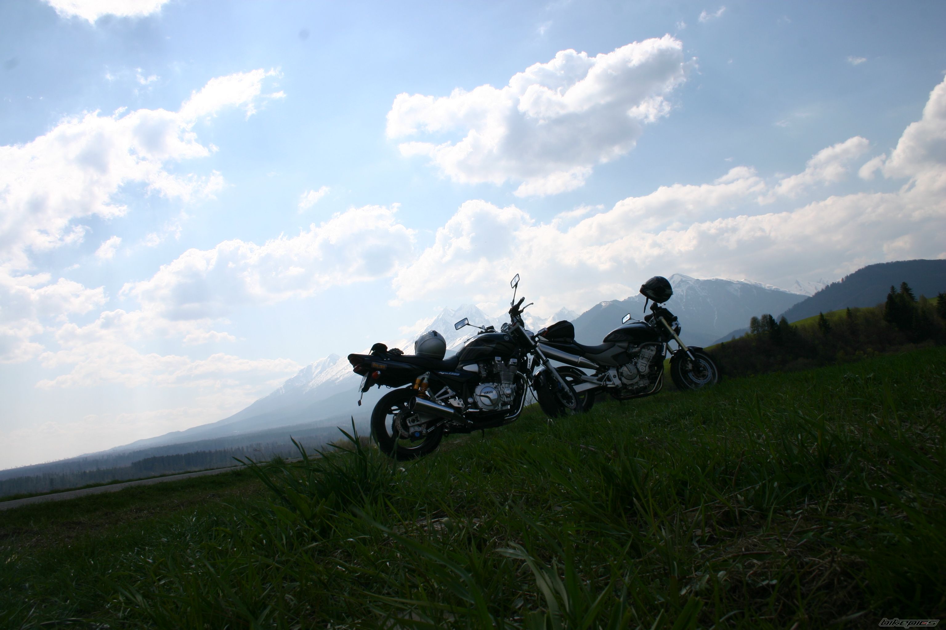 Photo 1269264
