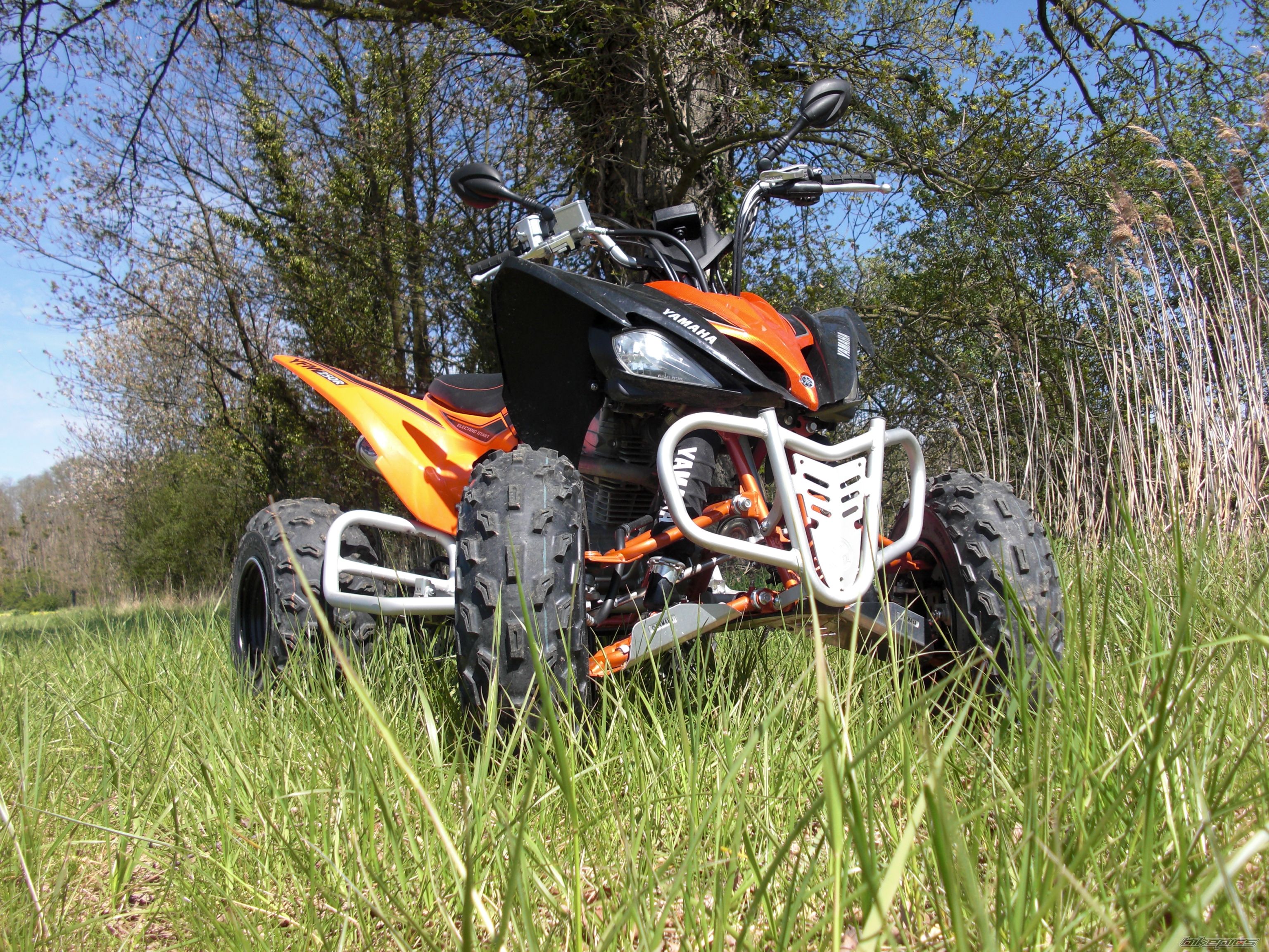 Photo 1269368