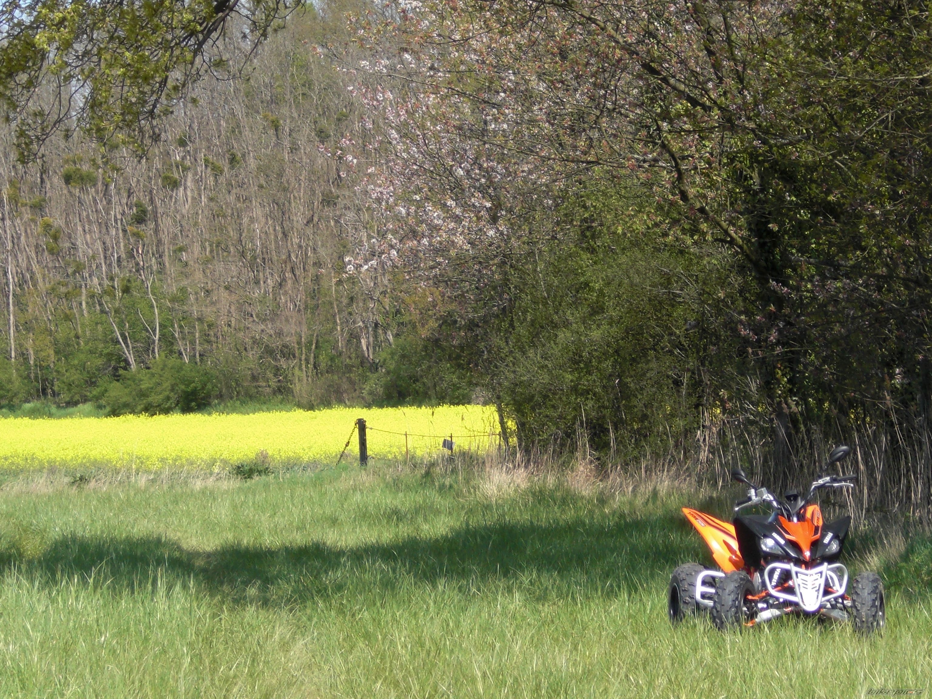 Bike Photo 1269378