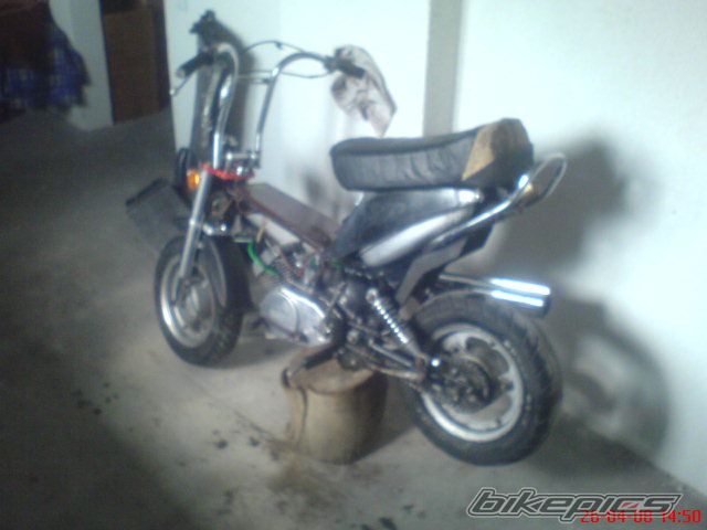 Photo 1269396