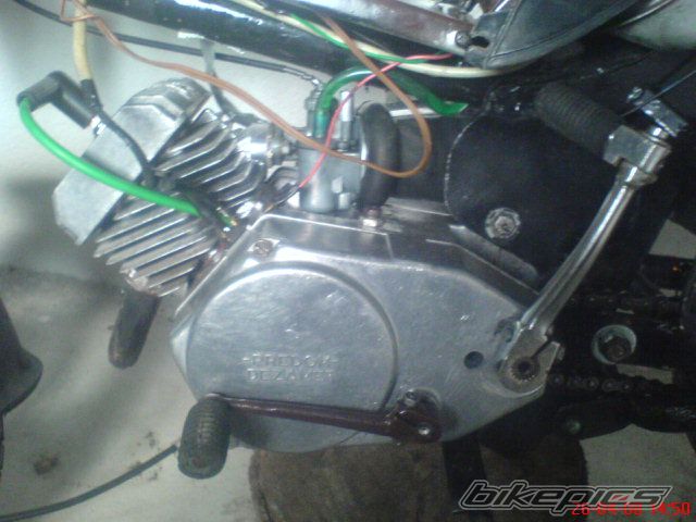 Photo 1269401
