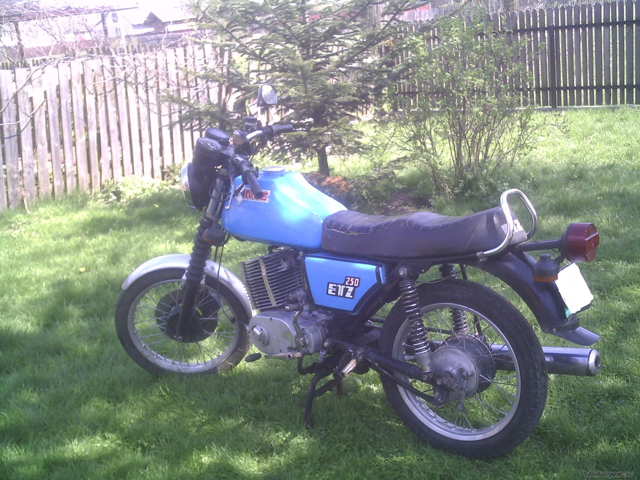 Photo 1269426