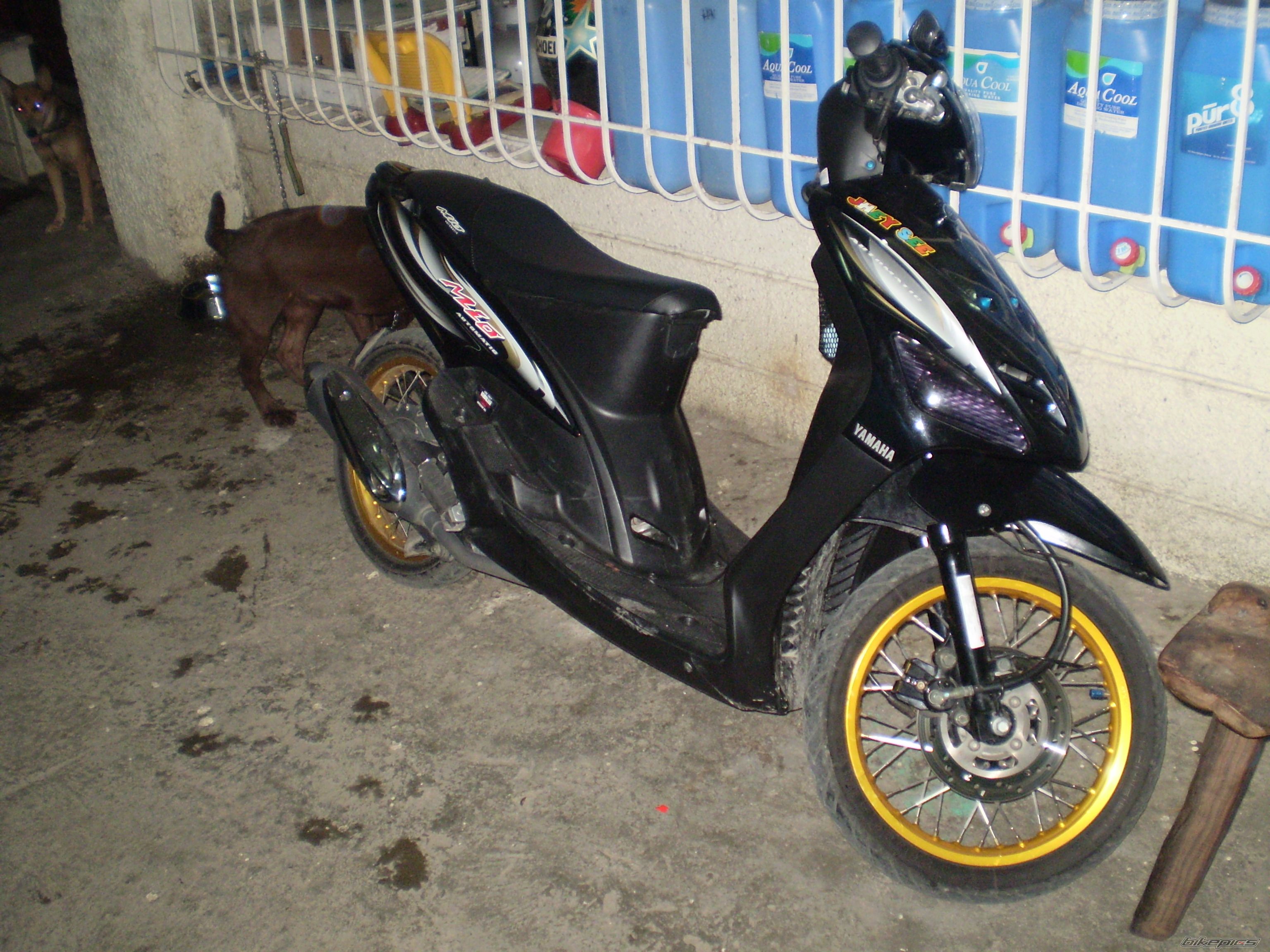 Photo 1269430