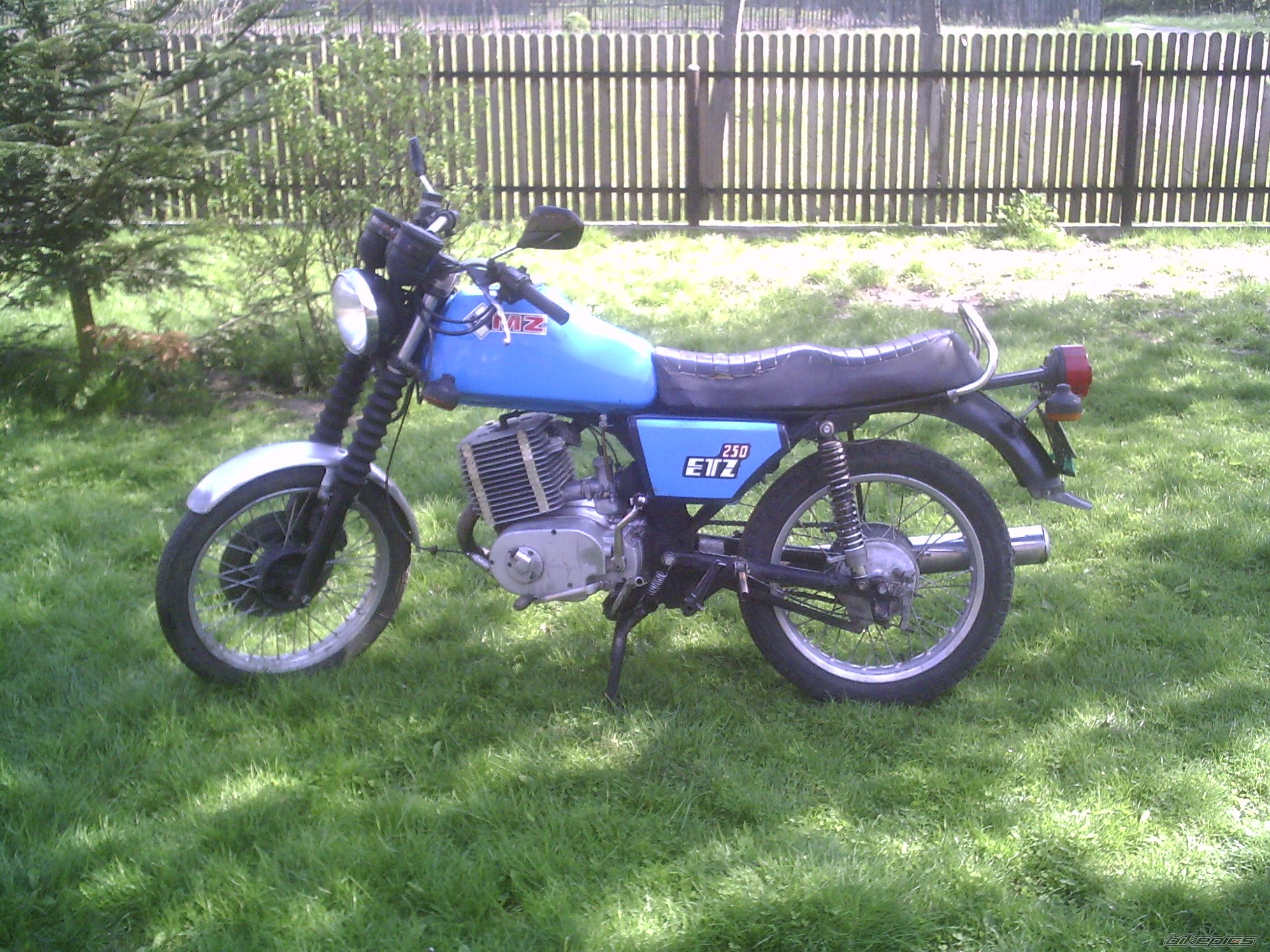 Photo 1269432