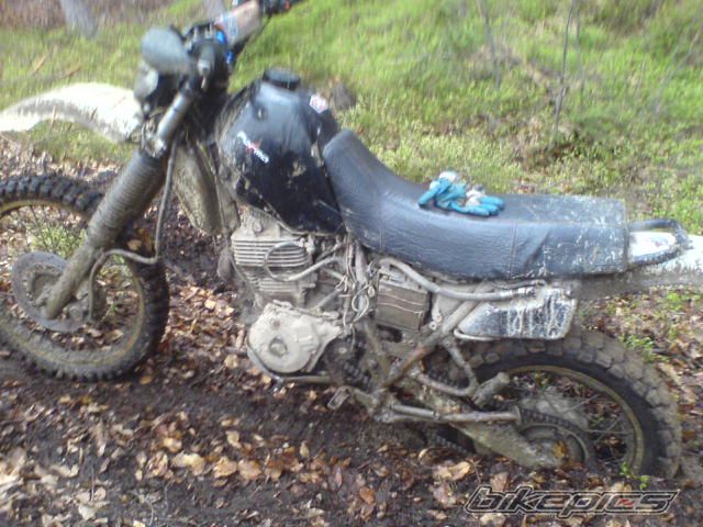 Bike Photo 1269441