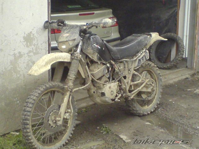 Bike Photo 1269445