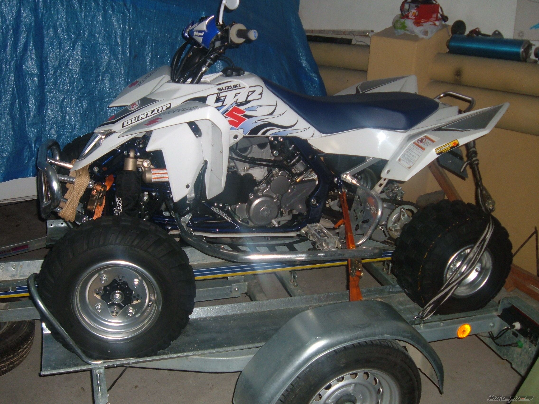Photo 1269474