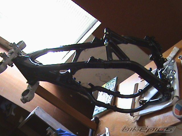 Photo 1269501