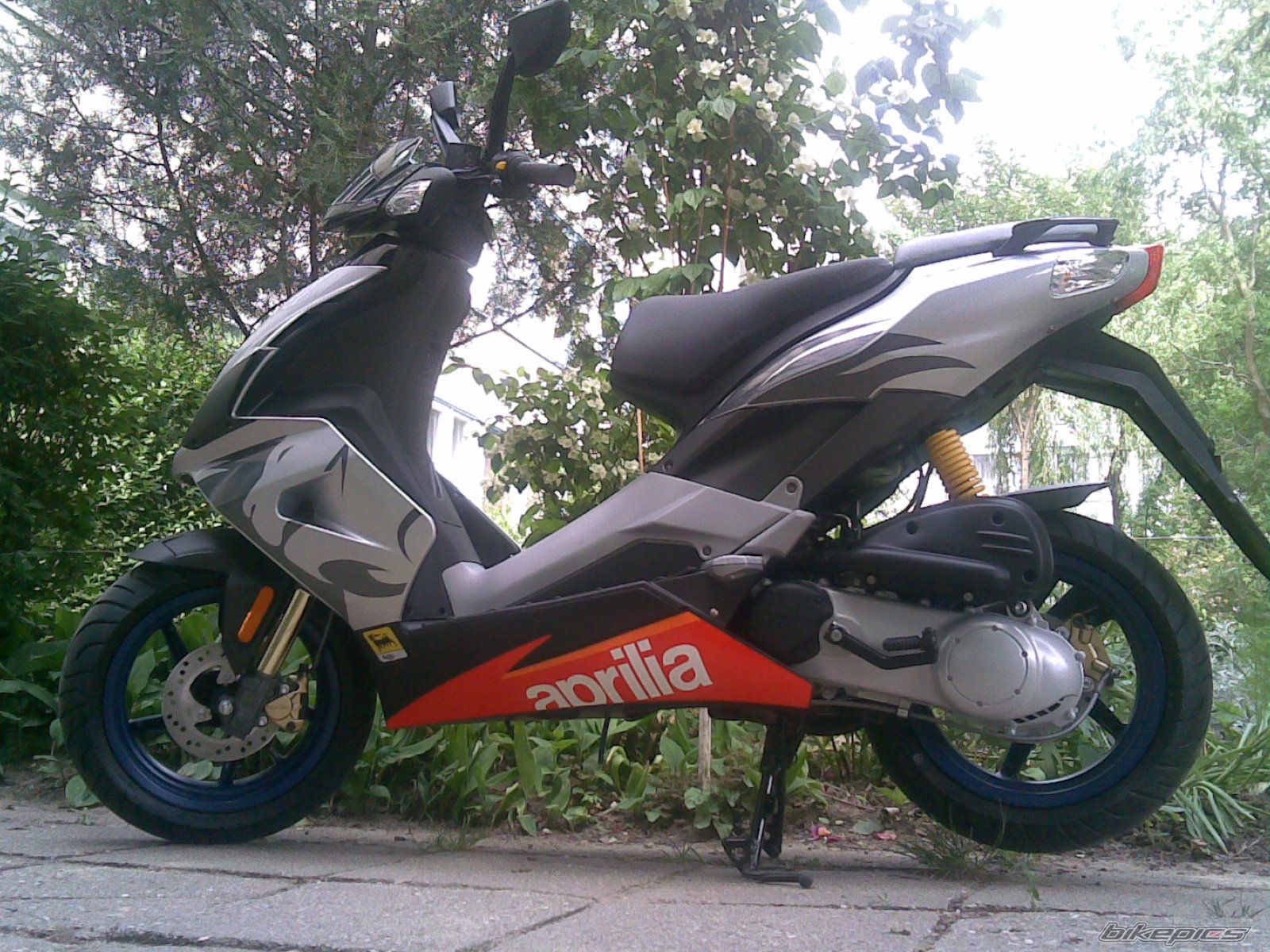Photo 1269509