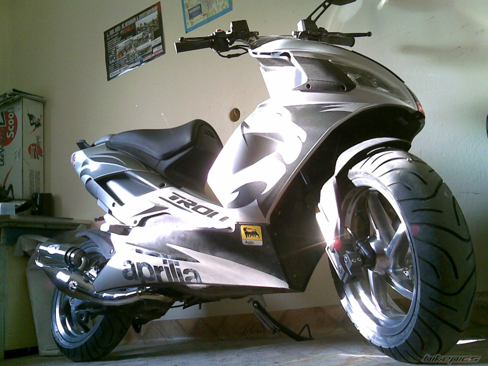 Photo 1269514