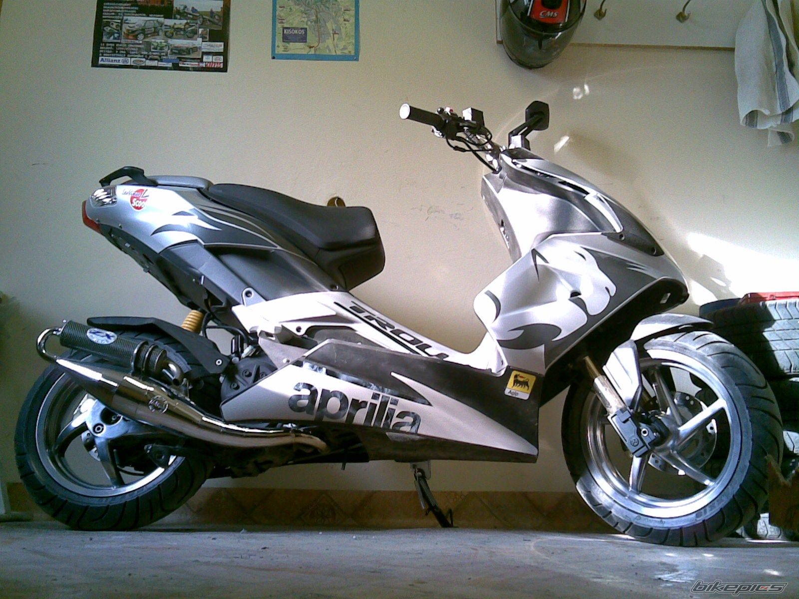 Photo 1269515