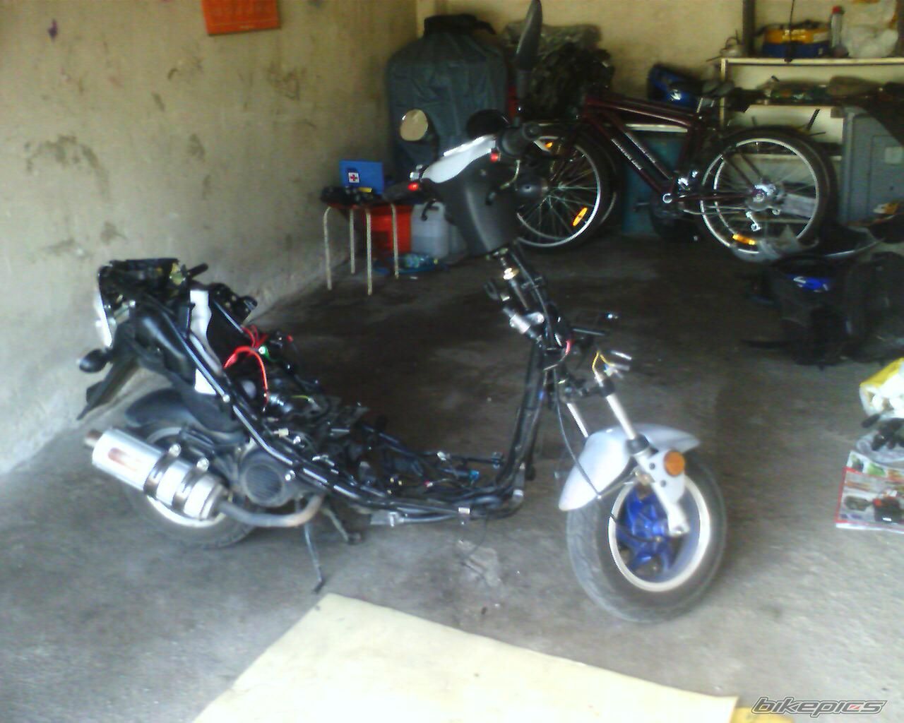 Photo 1269544
