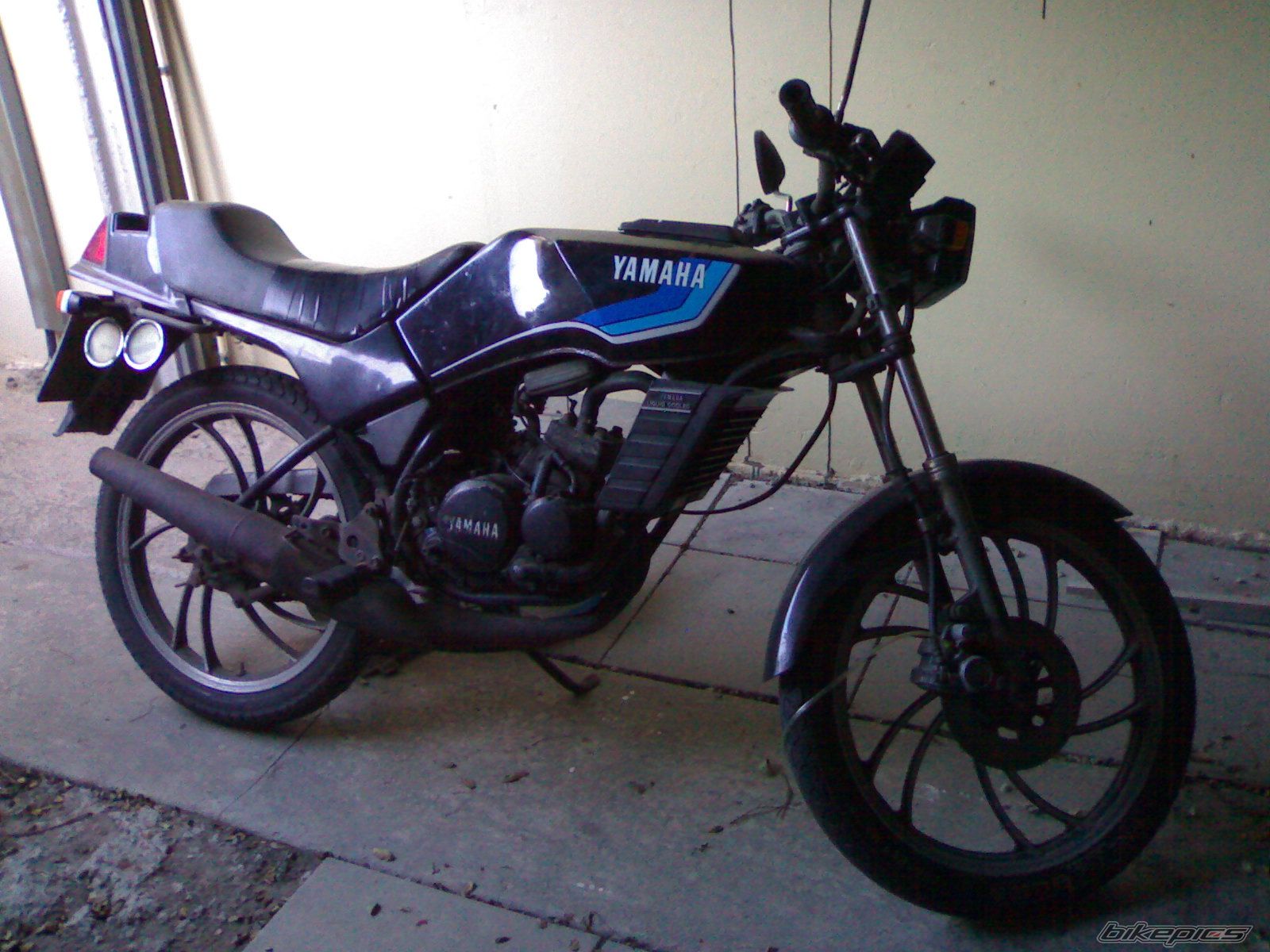 Photo 1269559
