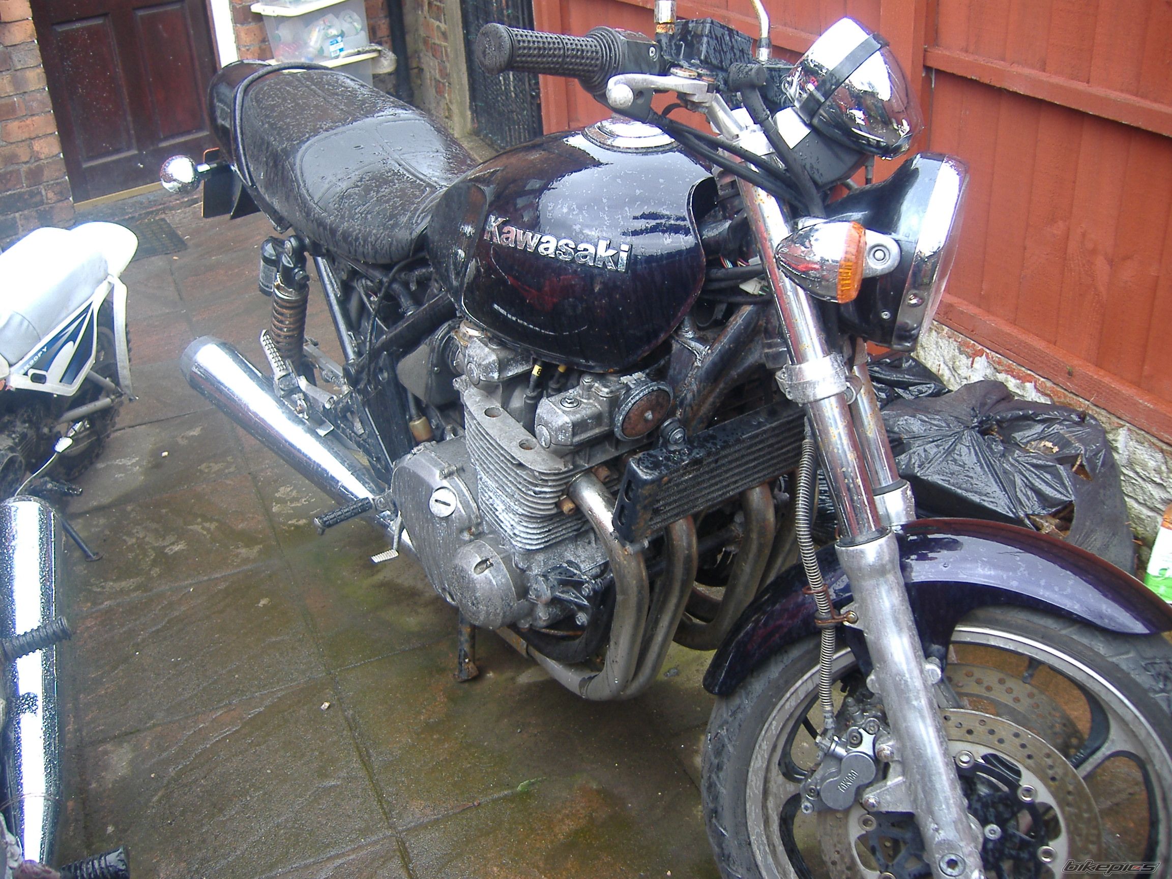 Photo 1269560