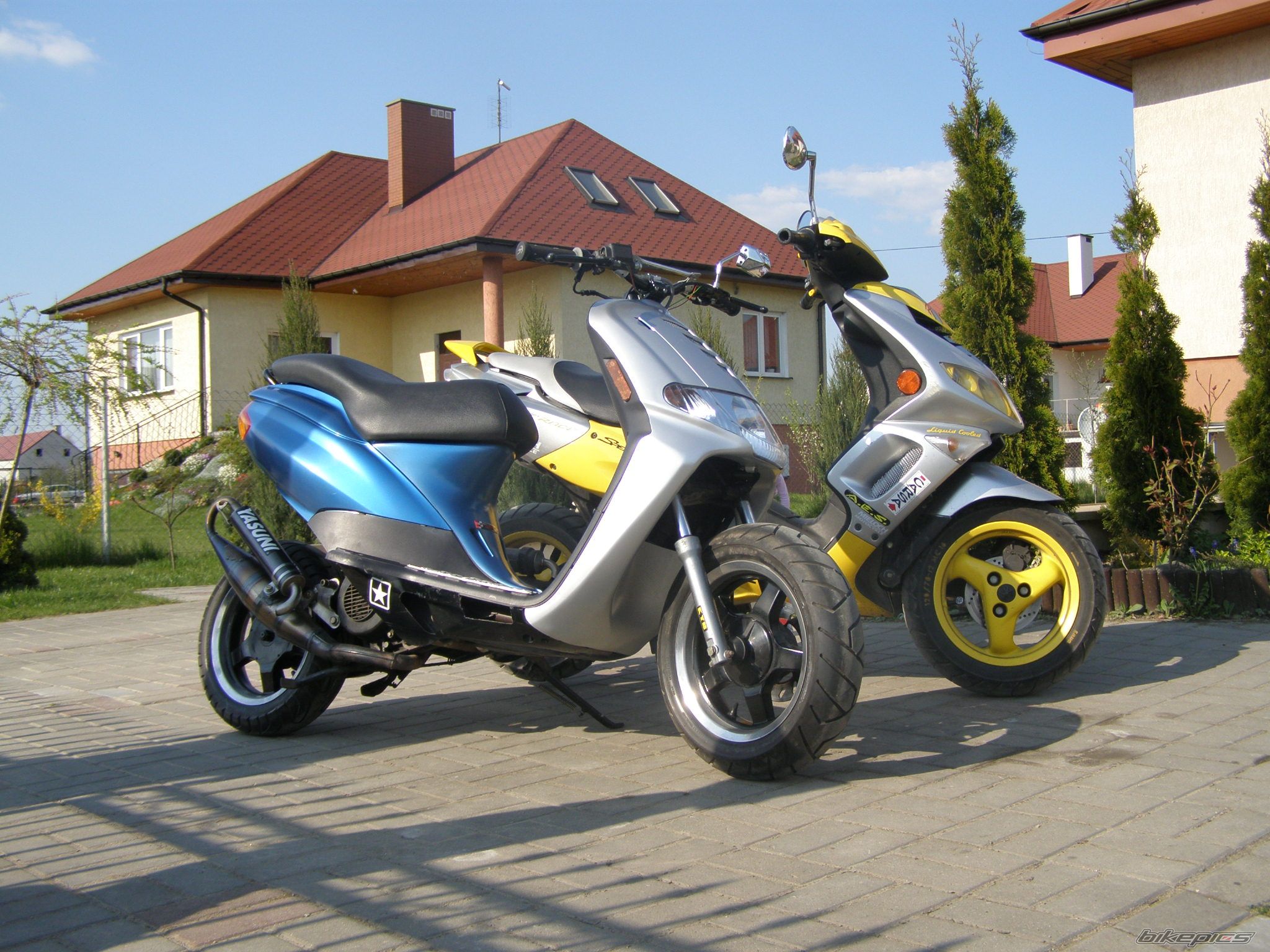 Photo 1269572