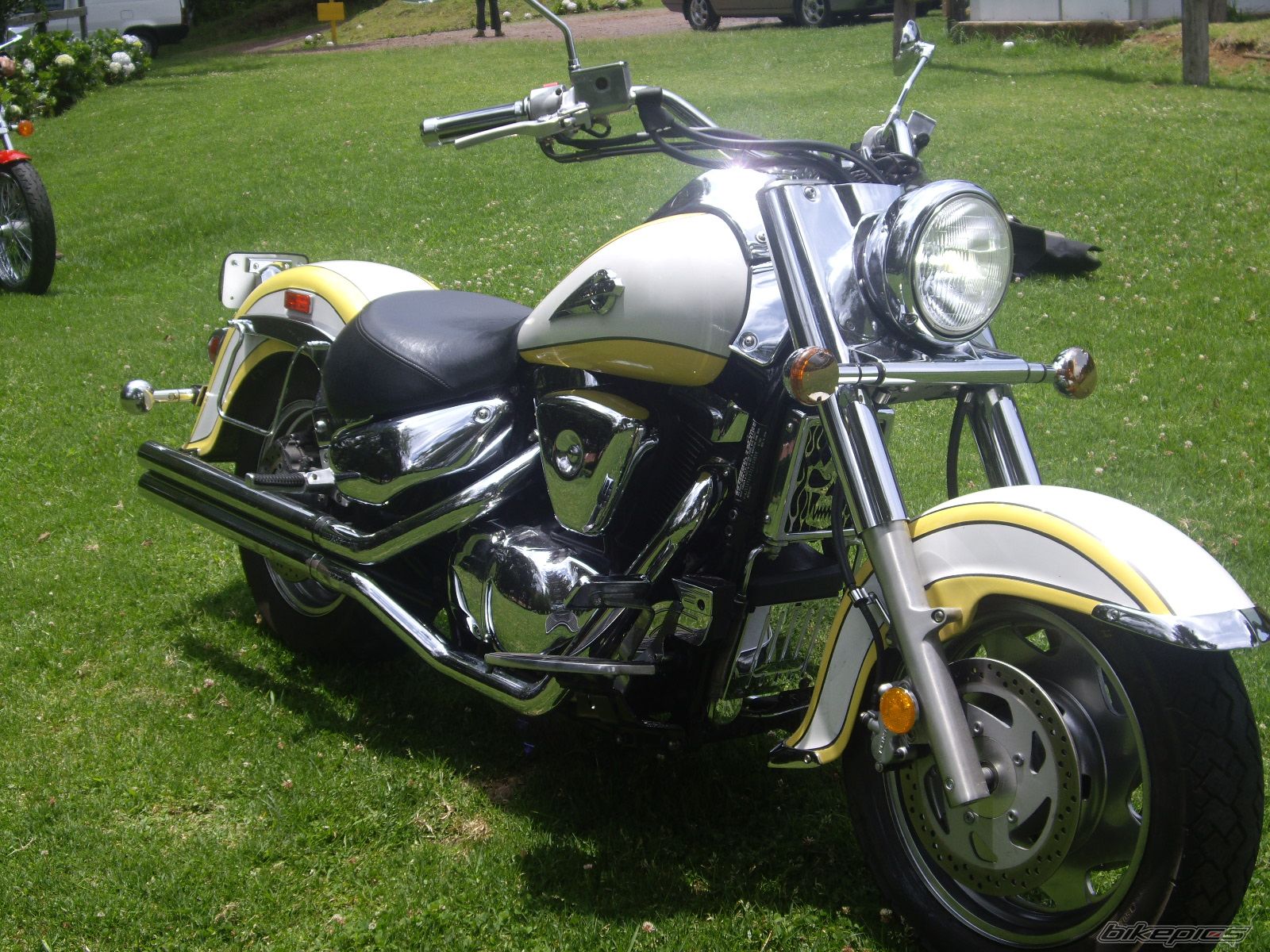 Photo 1269602
