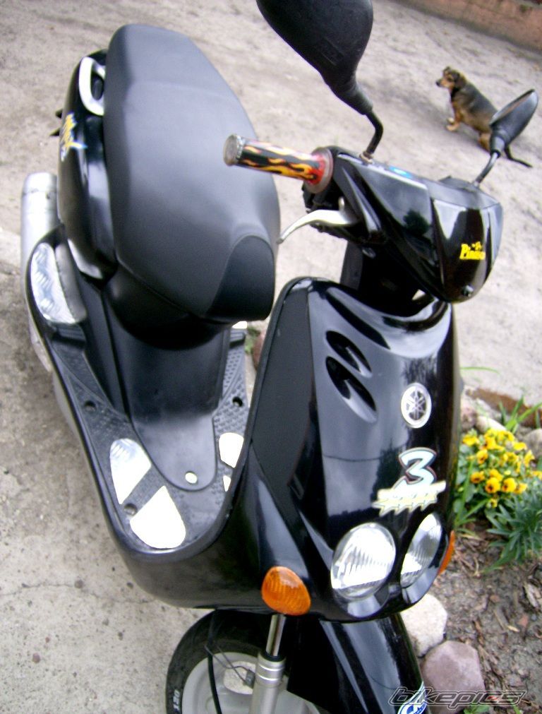 Photo 1269603