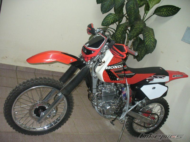 Photo 1269612