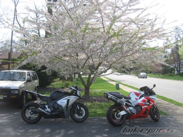 Photo 1269622
