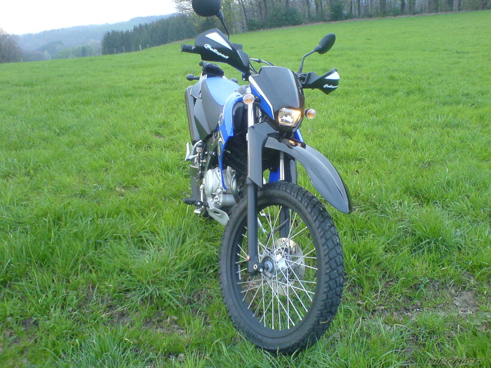 Photo 1269730