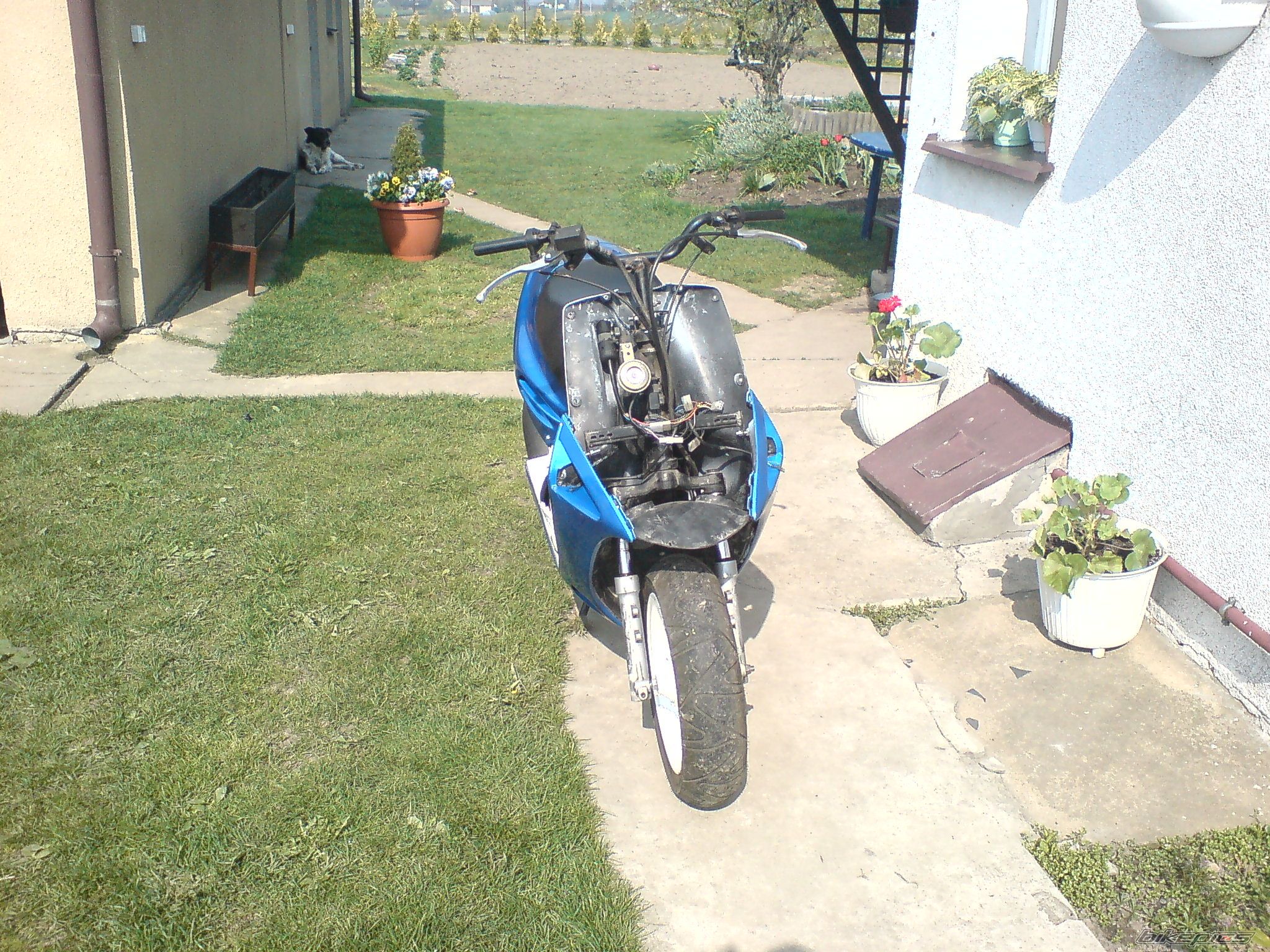 Photo 1269740