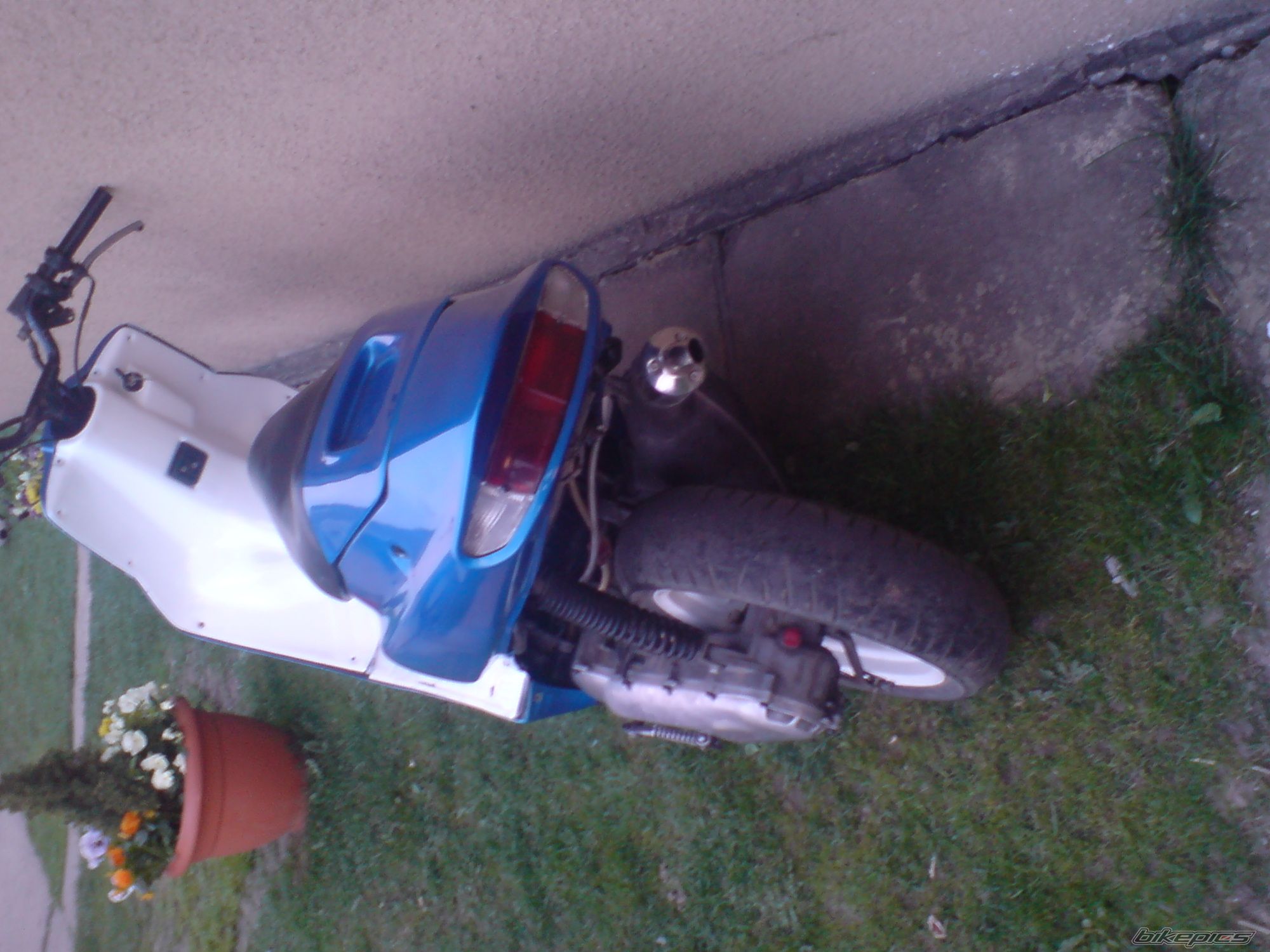 Photo 1269747