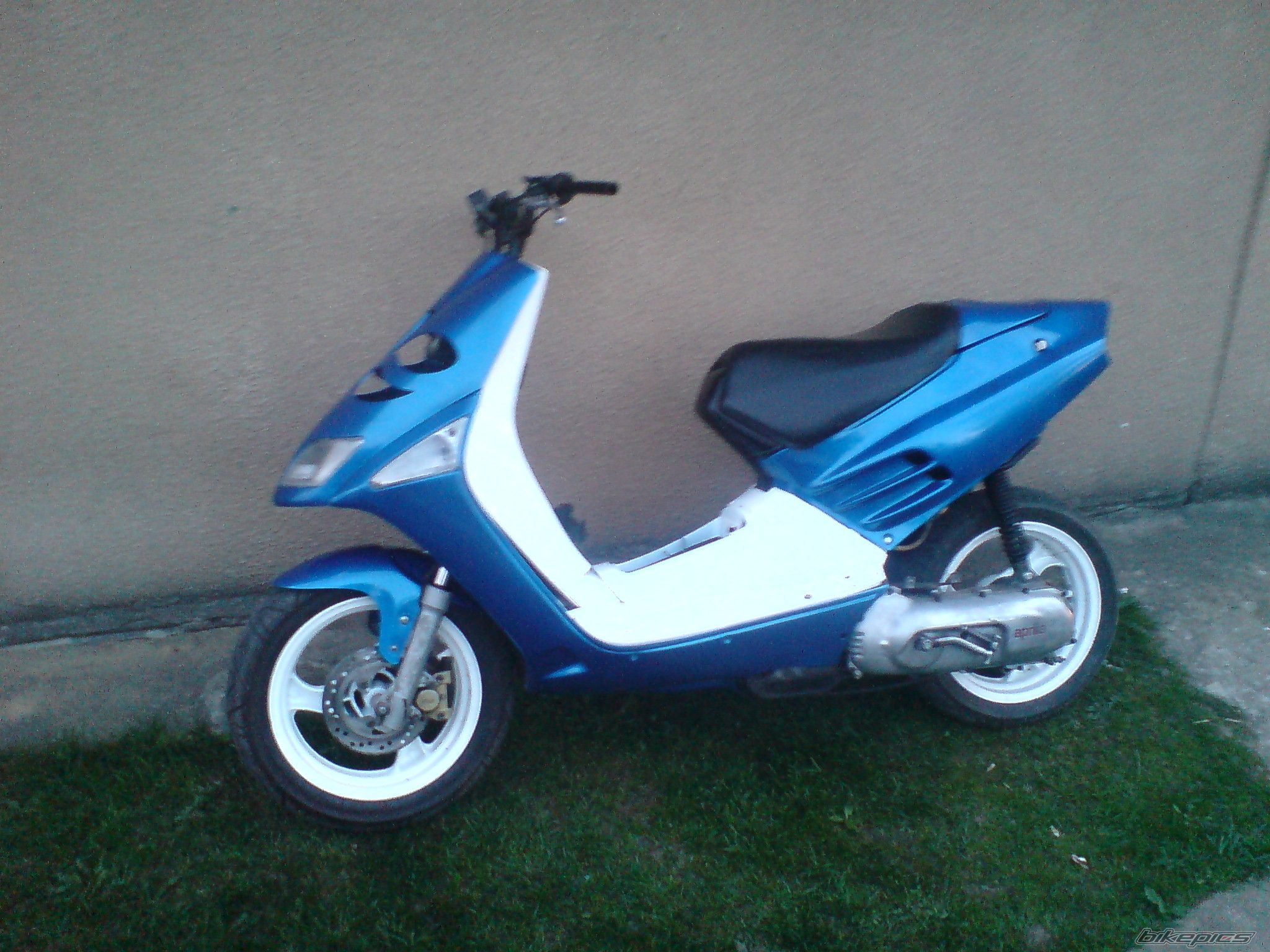 Photo 1269749