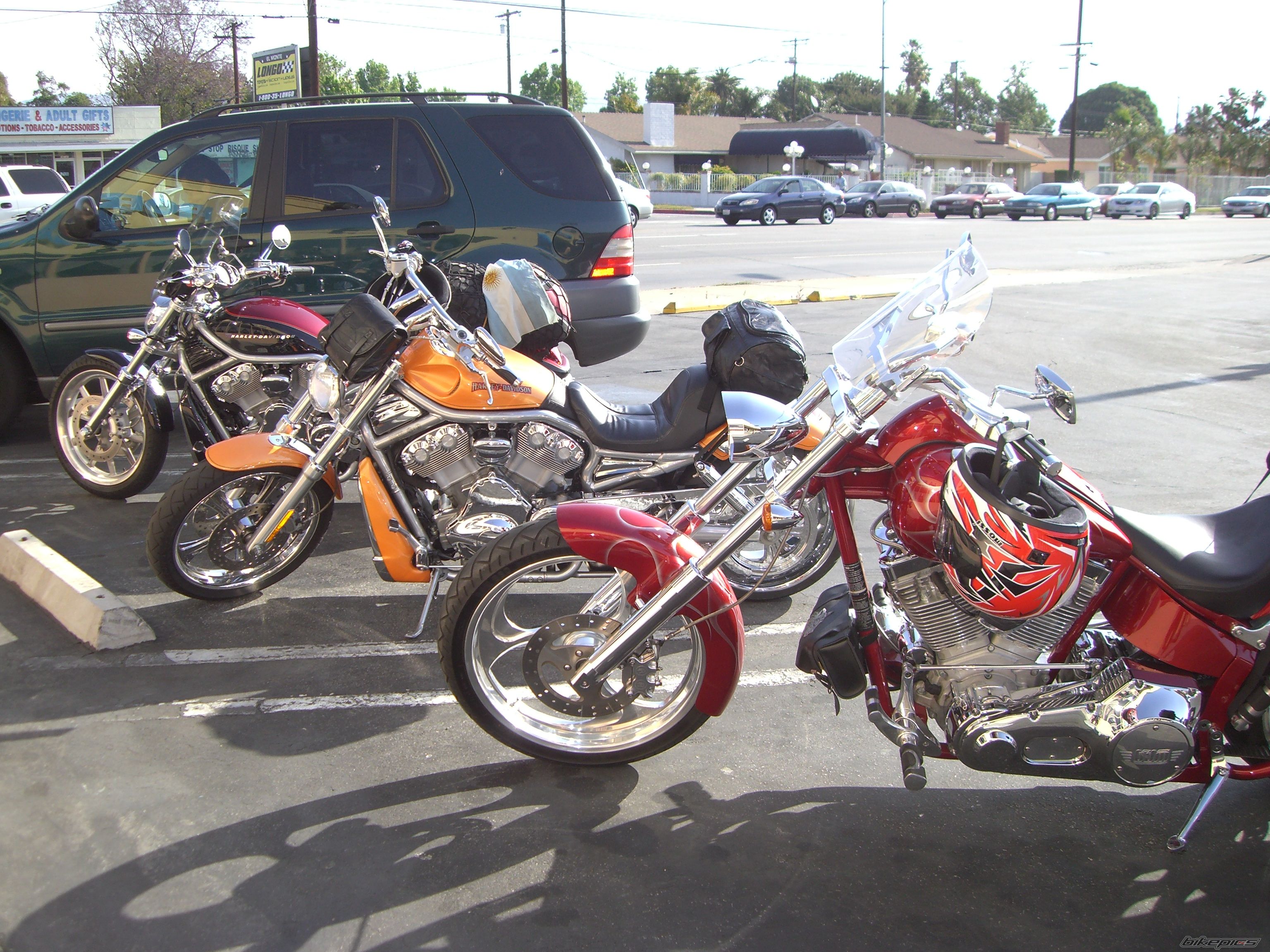 Photo 1269790