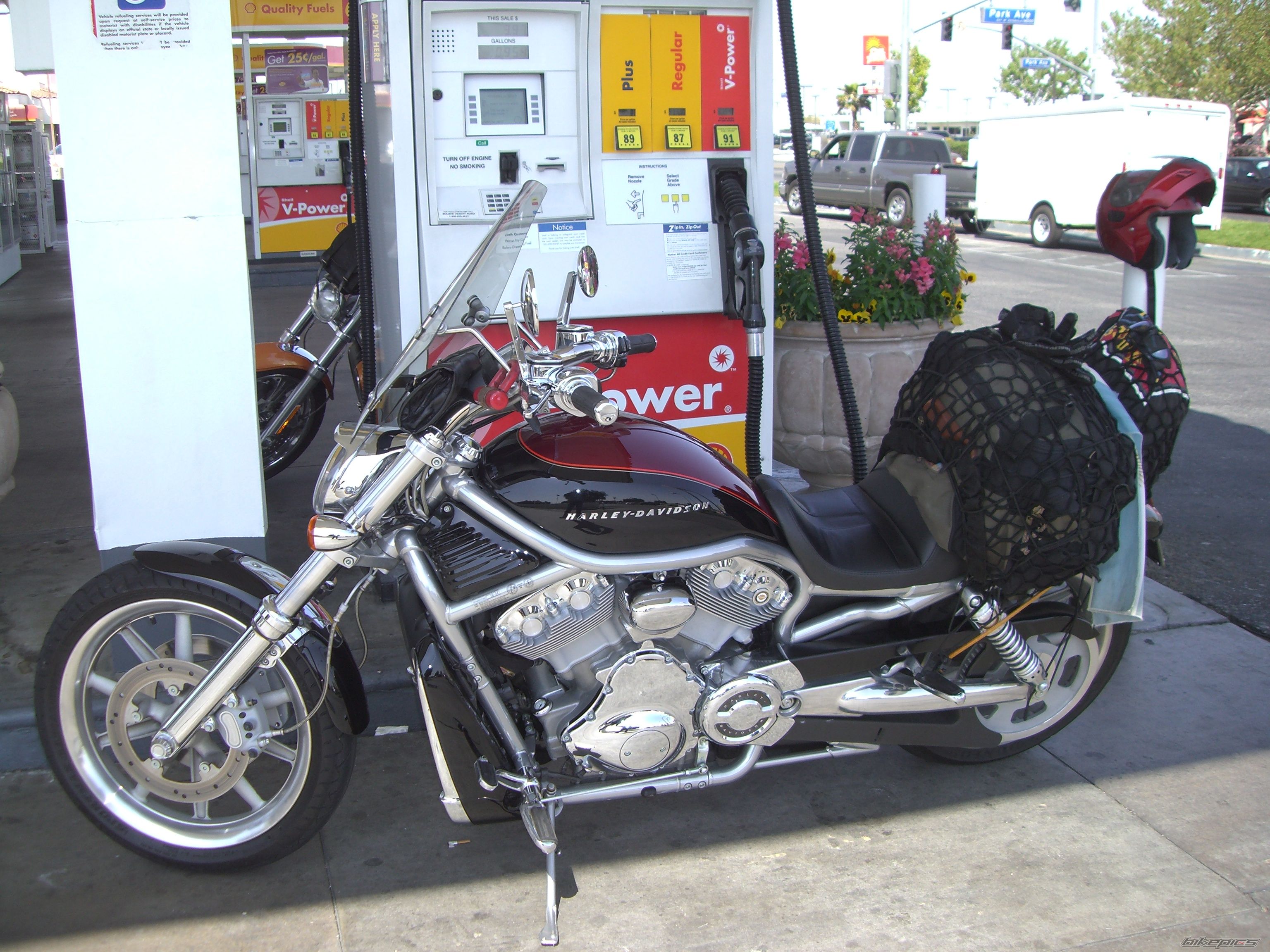 Photo 1269793