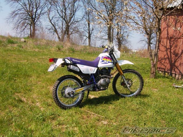 Photo 1269842