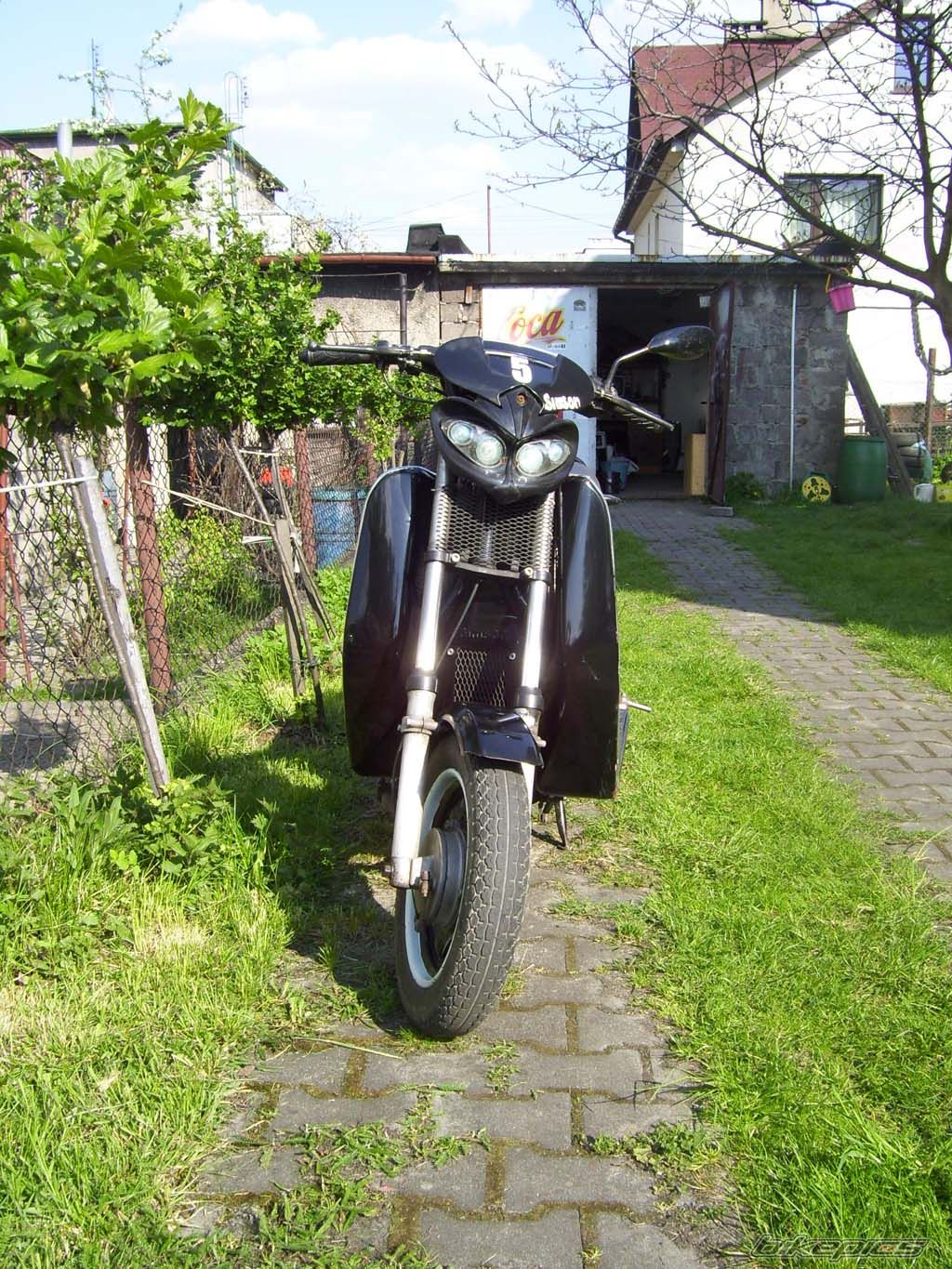 Photo 1269852