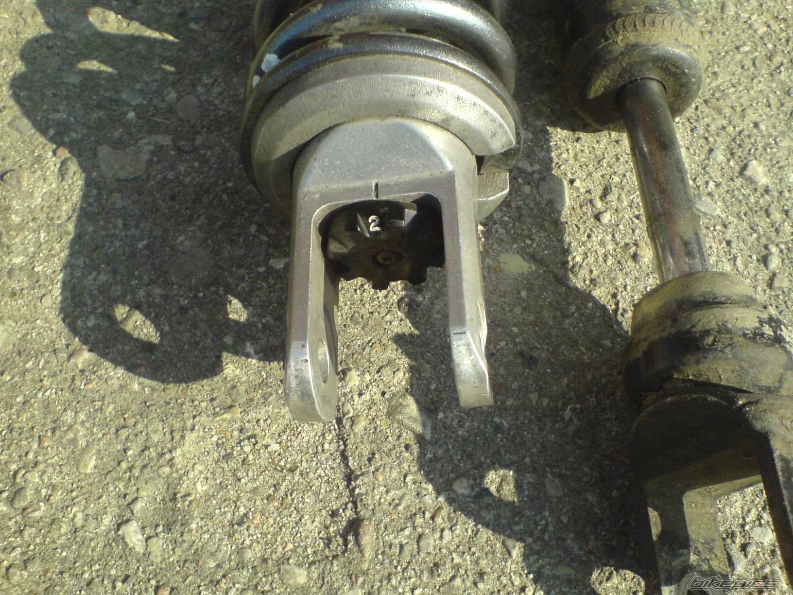 Photo 1269878