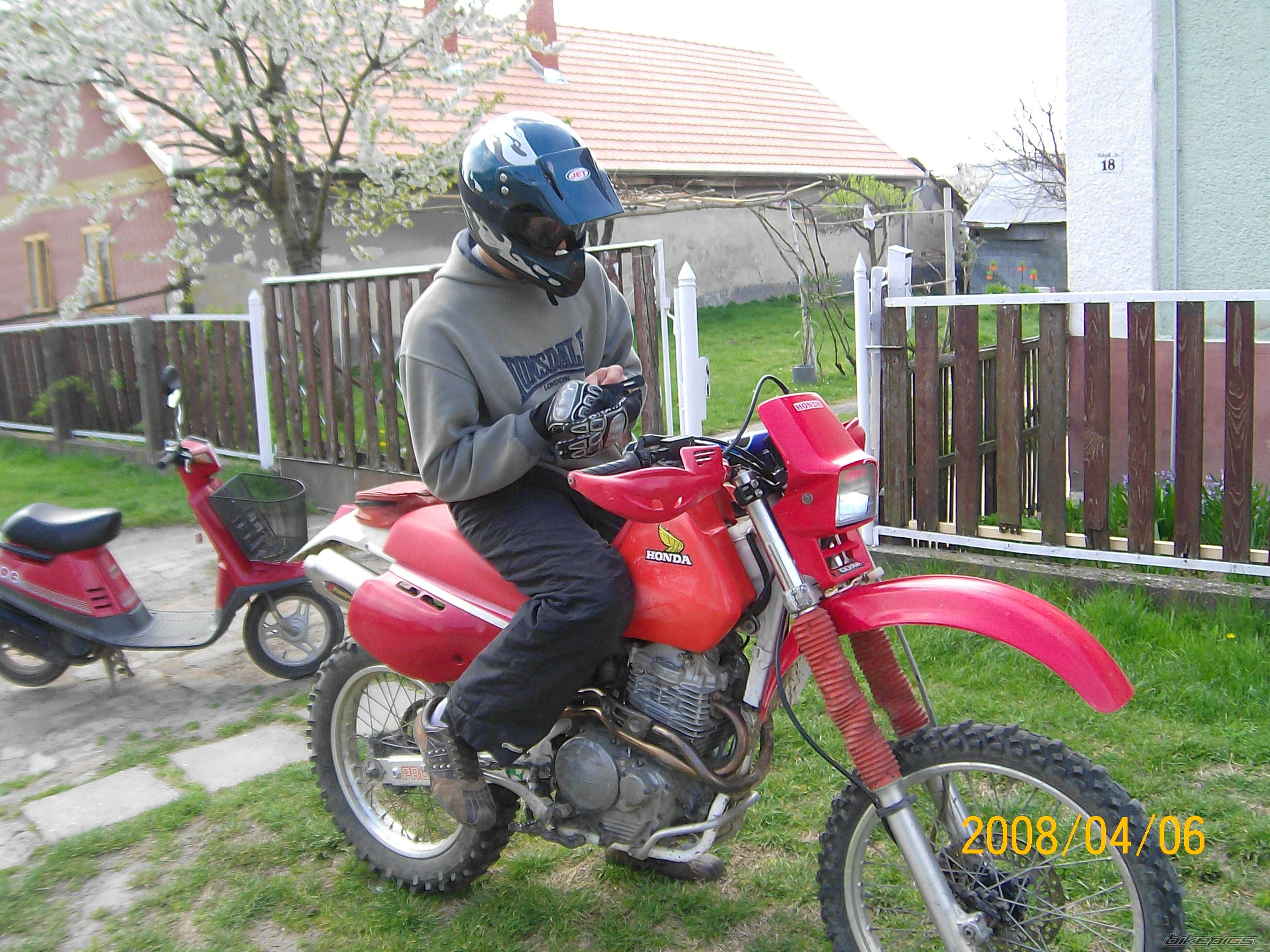 Photo 1269882