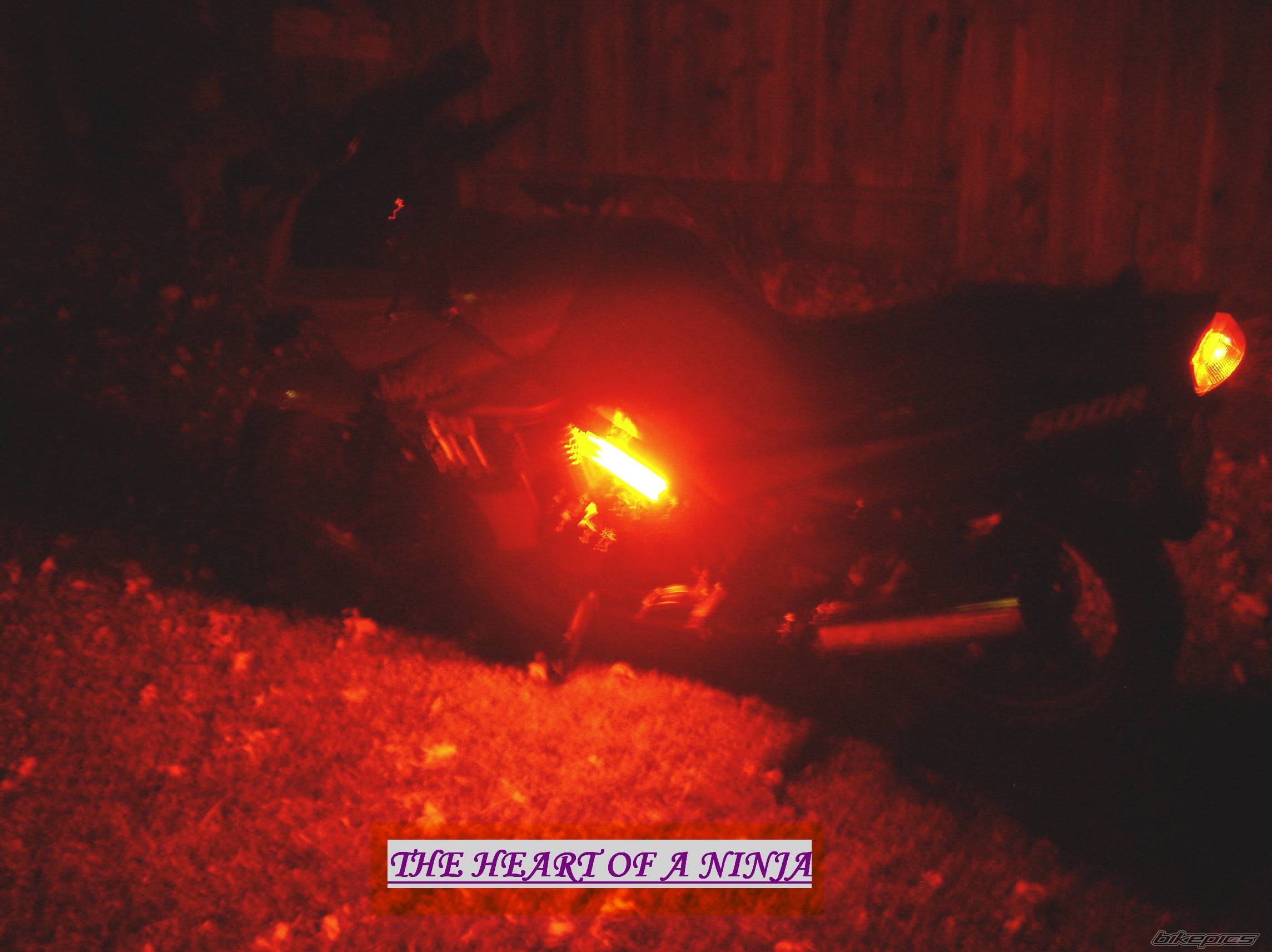 Bike Photo 126996