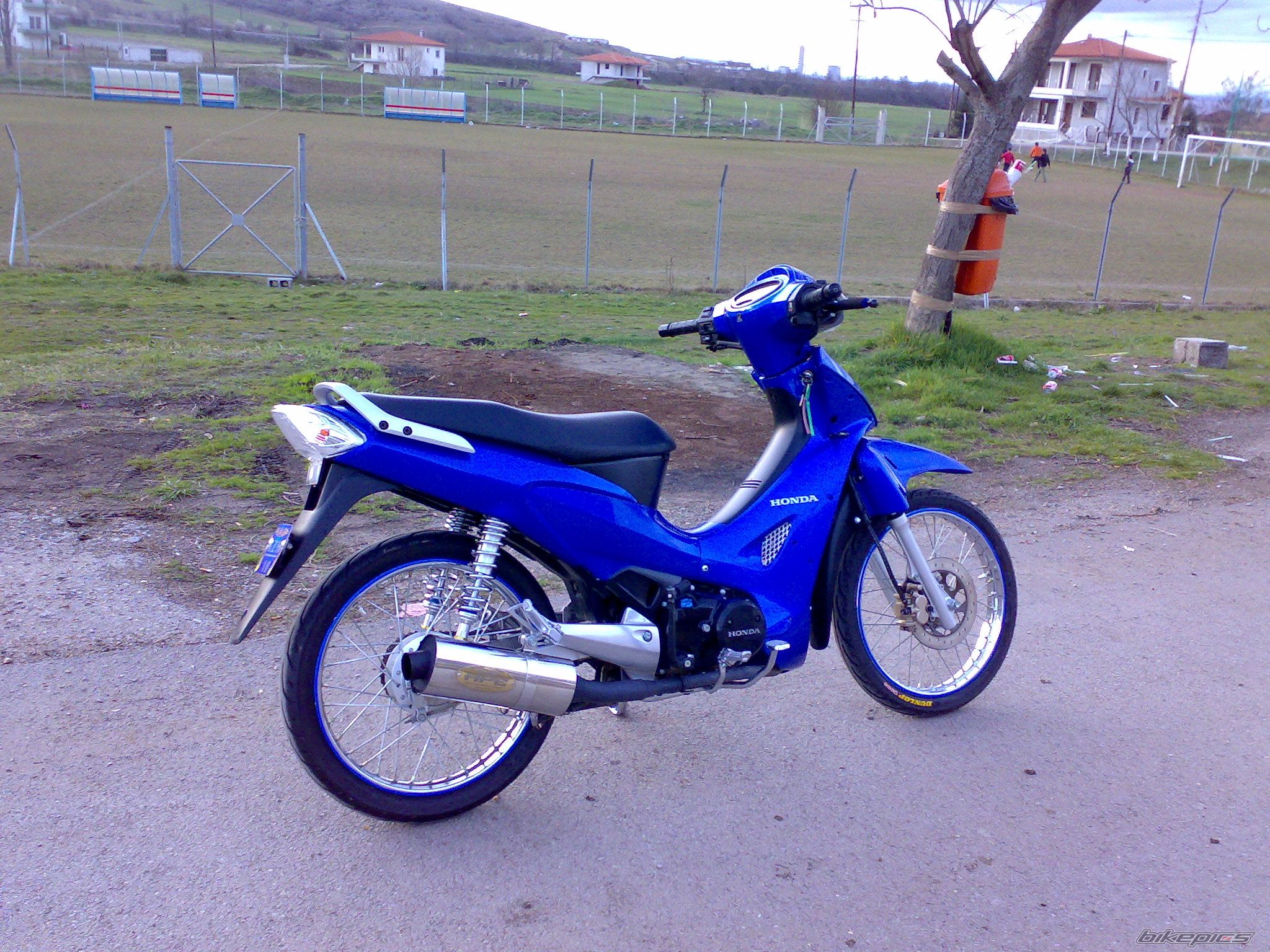 Photo 1269989