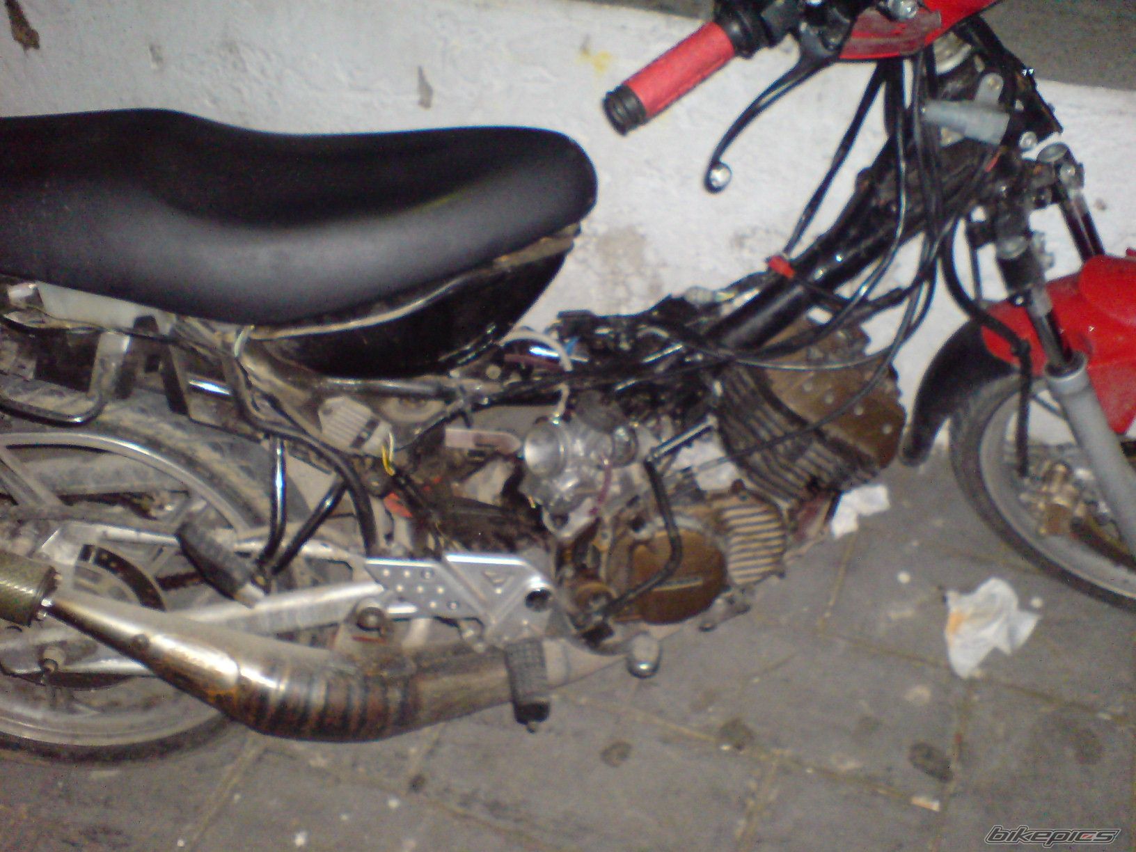 Photo 1269995