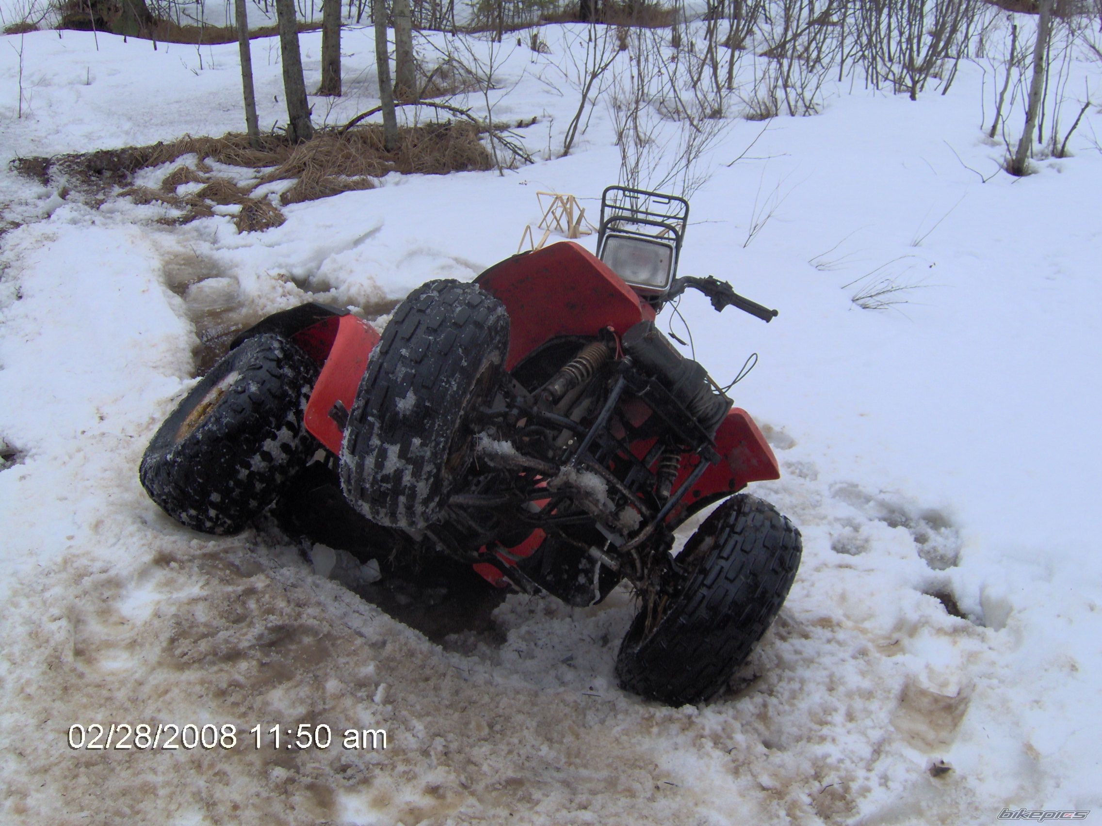 Photo 1270011