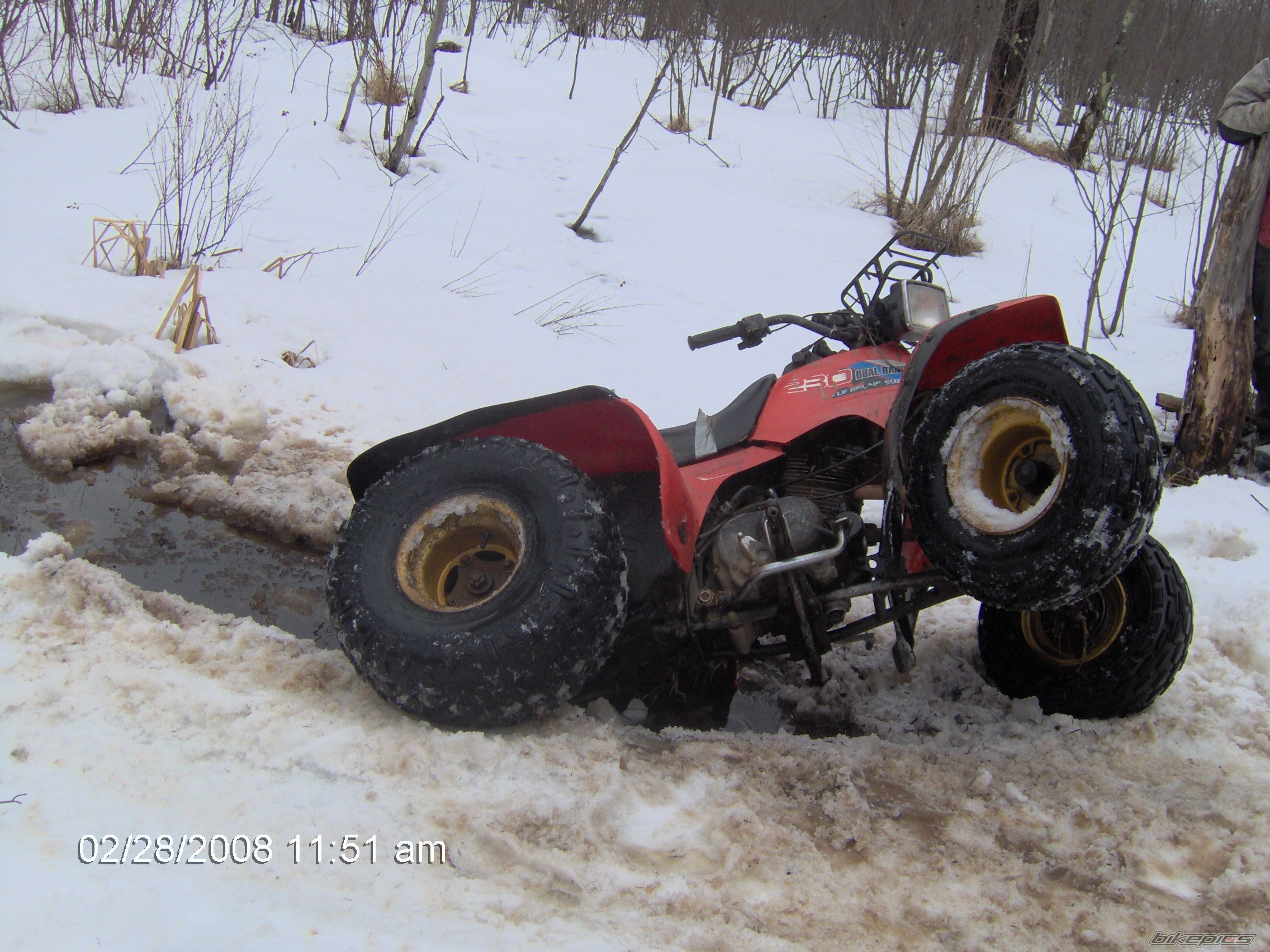 Photo 1270017