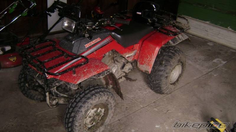 Photo 1270218