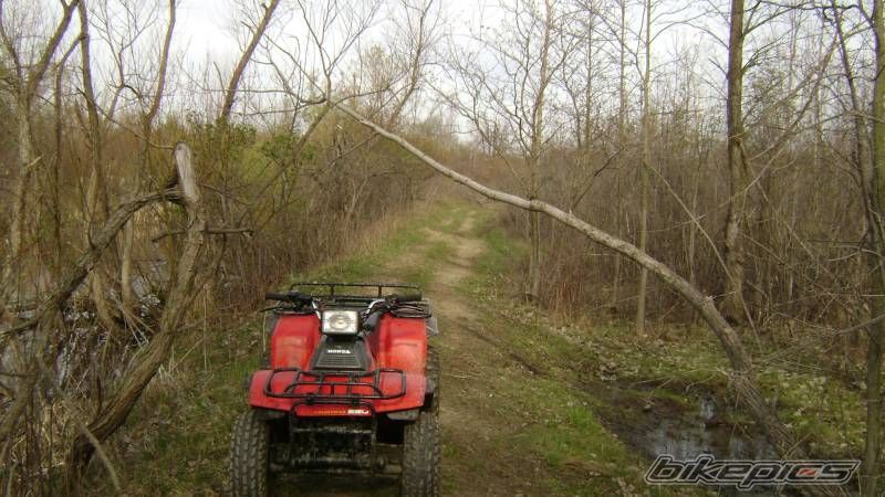 Photo 1270219