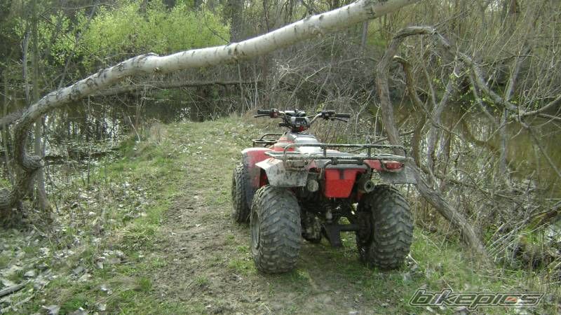 Photo 1270220