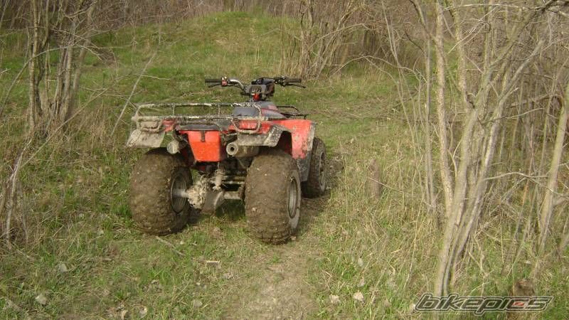 Photo 1270222