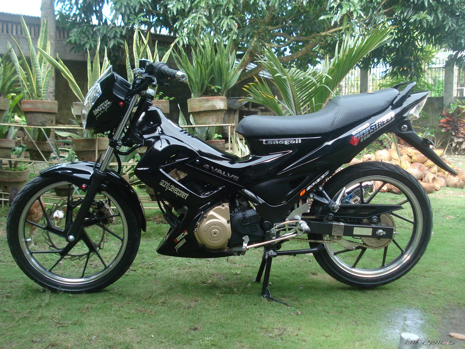 Photo 1270359