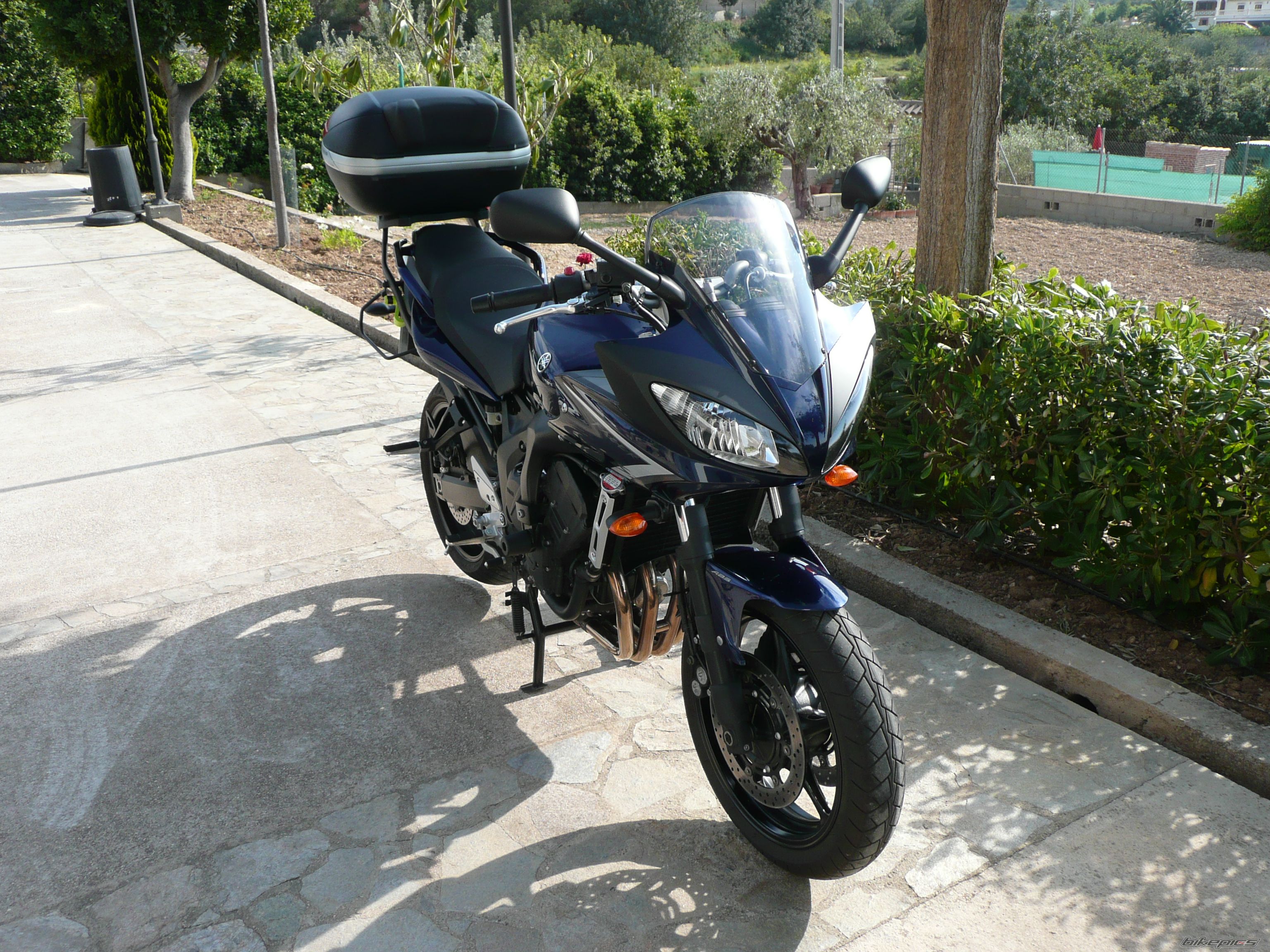 Photo 1270417