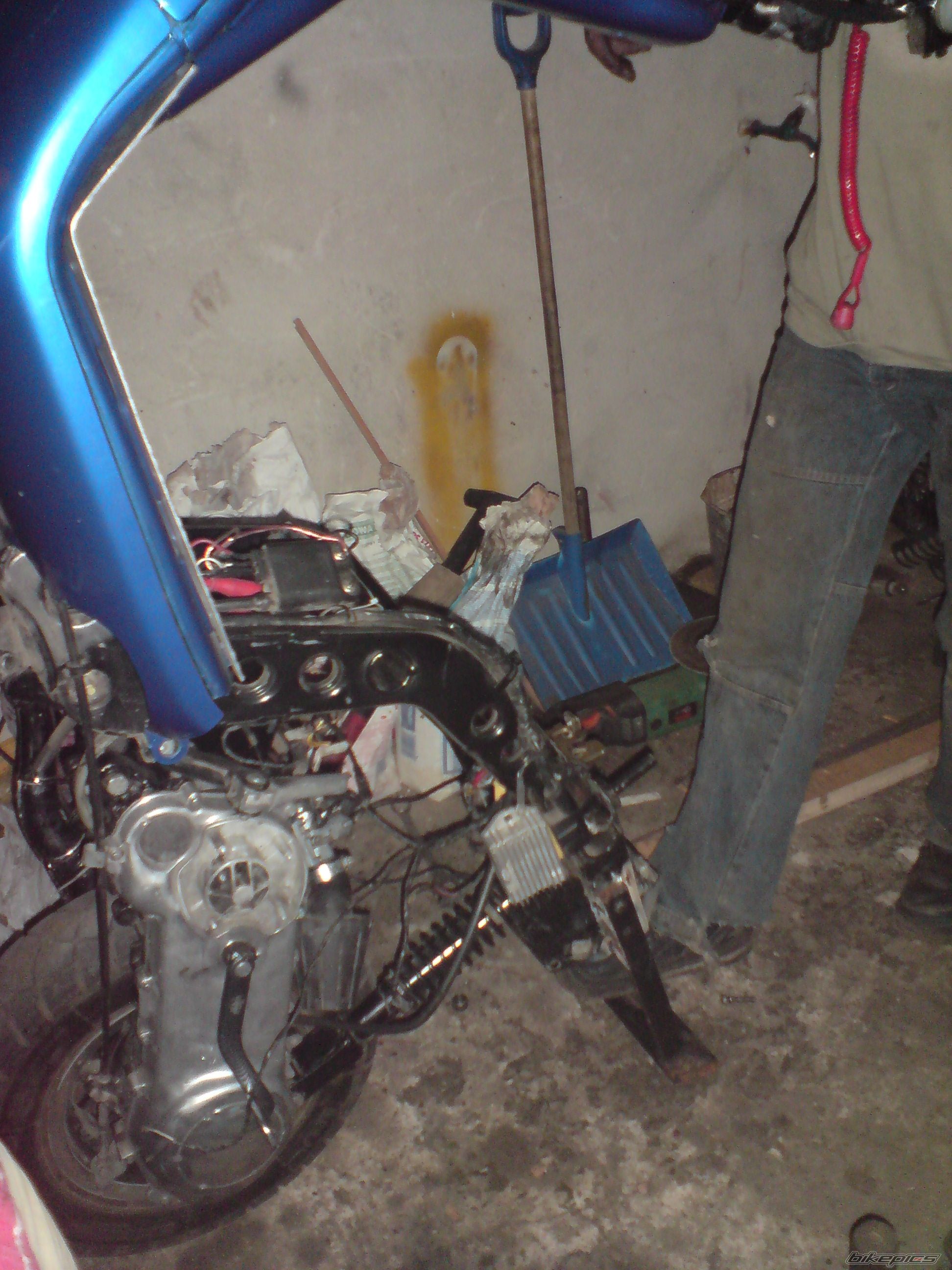 Photo 1270419
