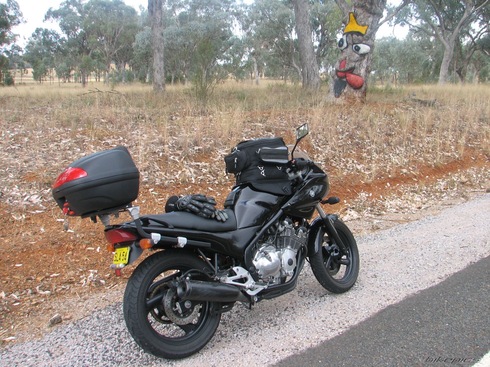 Bike Photo 1270522