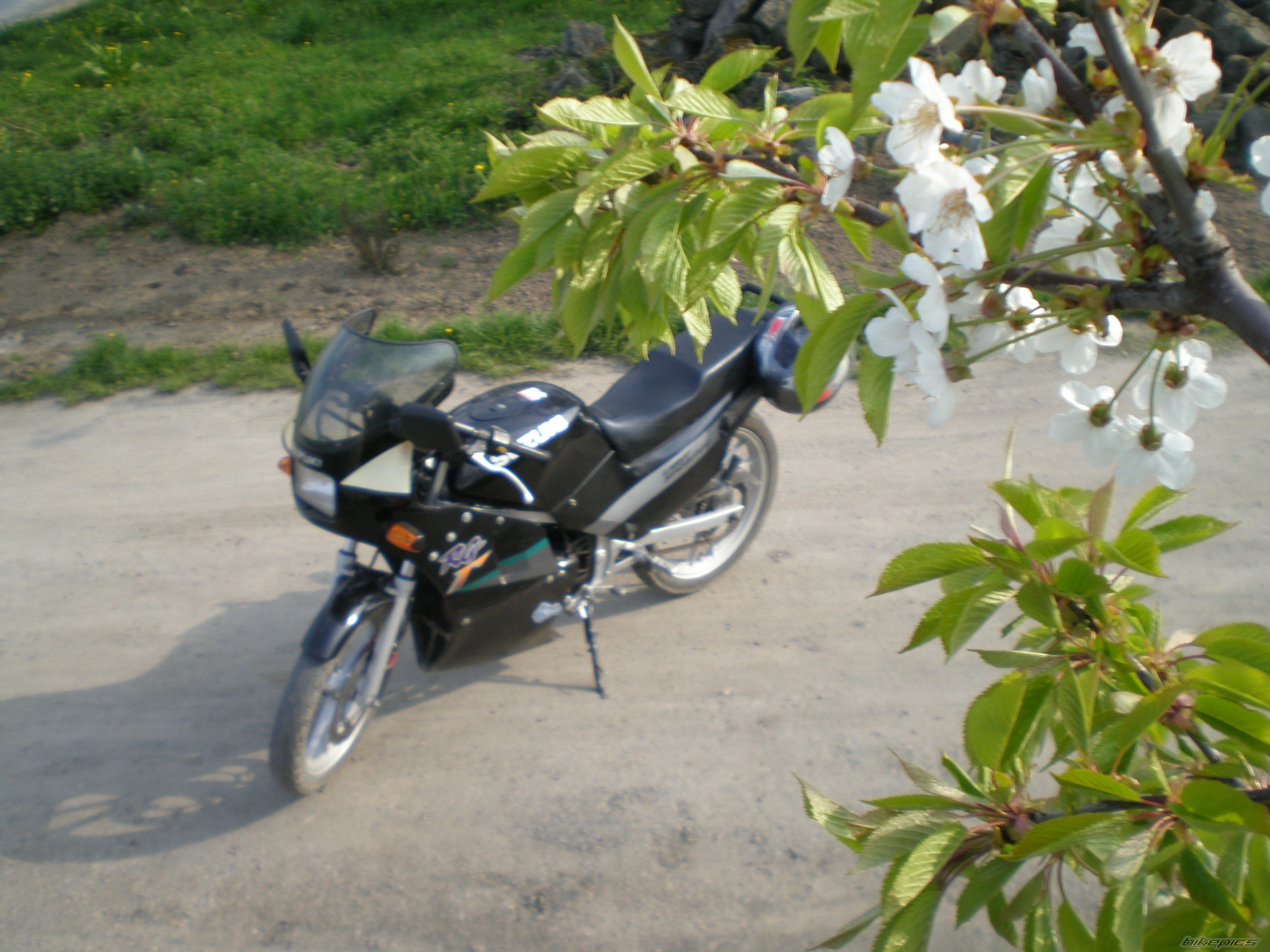 Photo 1270524