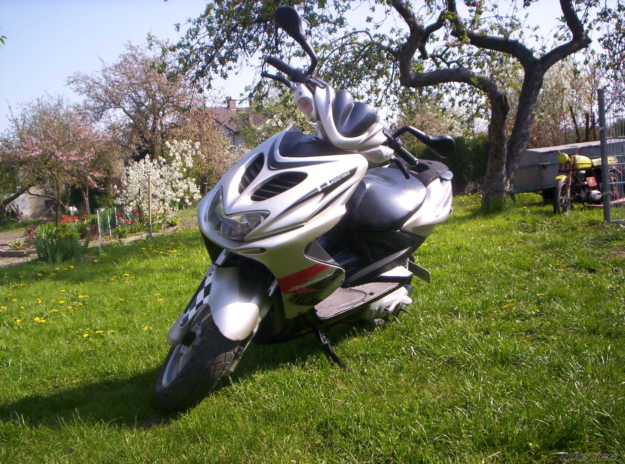 Photo 1270604