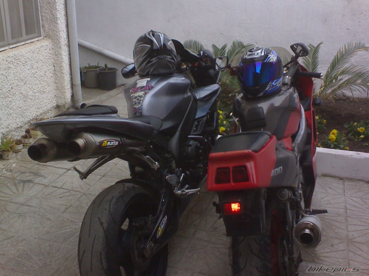 Photo 1270735